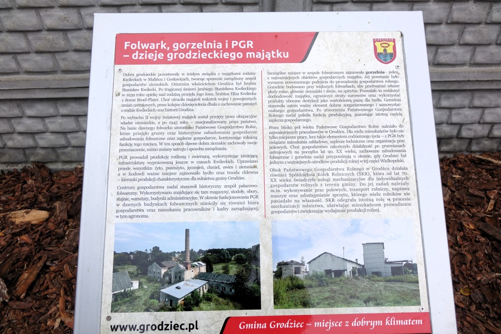Plenerowy Punkt Informacji Turystycznej już służy mieszkańcom i turystom - zdjęcie 11